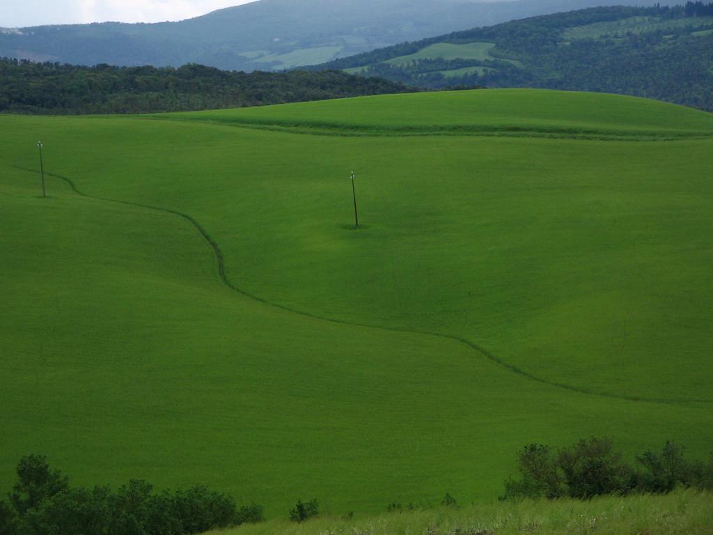 Agriturismo Podere Campaini 볼테라 외부 사진