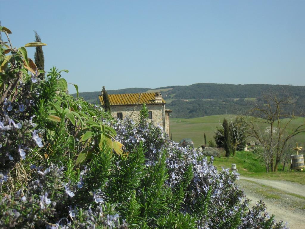 Agriturismo Podere Campaini 볼테라 외부 사진