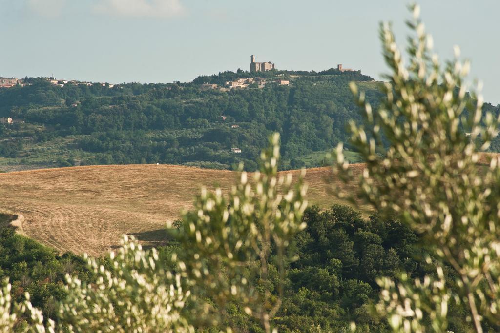 Agriturismo Podere Campaini 볼테라 외부 사진