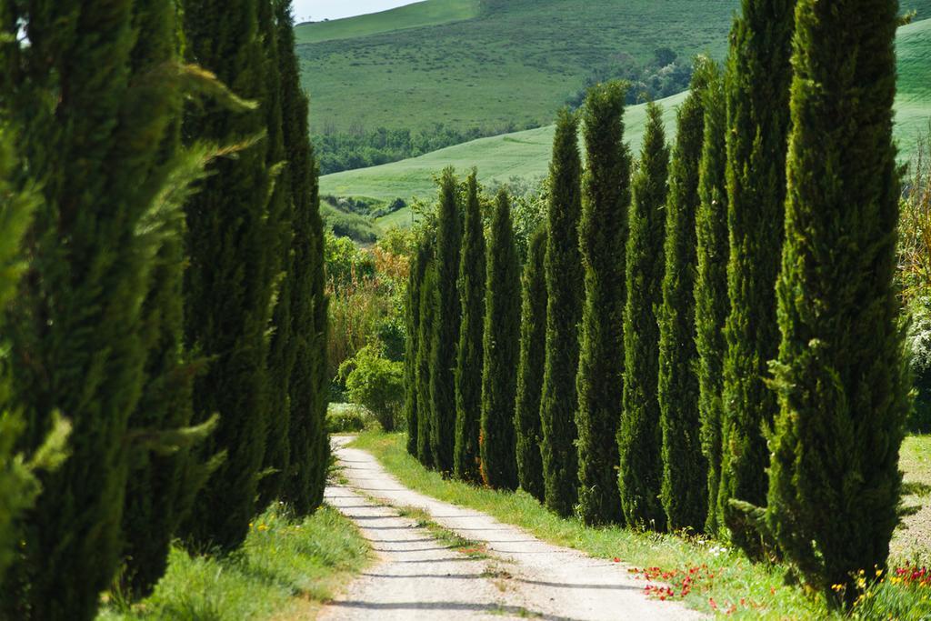 Agriturismo Podere Campaini 볼테라 외부 사진